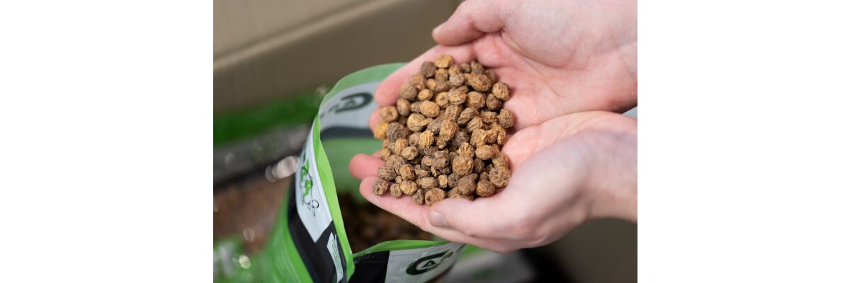 Wie du Tigernüsse richtig einsetzt - unsere Tipps für maximalen Erfolg - Tigernüsse richtig einsetzen - Tipps für maximalen Erfolg