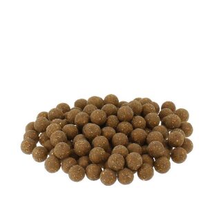 Carpline24 - Premium Leber Boilies - 5 kg