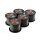 Korda Carp Line 8lb   (0.28mm) - 1000m