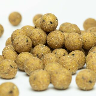 Carpline24 - Futterboilies Kokos - 5 kg 16 mm