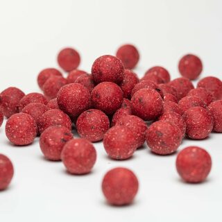 Carpline24 - Futterboilies Erdbeere - 5 kg 16 mm