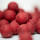 Carpline24 - Futterboilies Erdbeere - 5 kg 16 mm