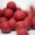 Carpline24 - Futterboilies Erdbeere - 10 kg 16 mm