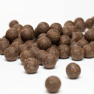 Carpline24 - Futterboilies Octopus Fisch - 10 kg