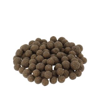 Carpline24 - Halibut / Thunfisch Boilies - 1 kg