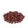 Carpline24 - Robin Red Boilies - 1 kg