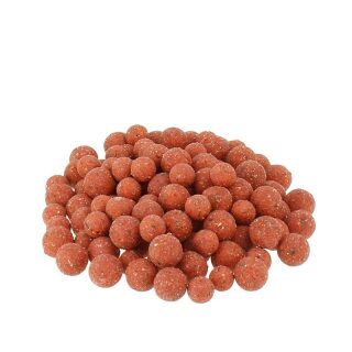 Carpline24 - Erdbeere / Scopex Boilies - 1 kg