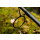 Sonik Gravity Carp Rod 12ft 3.25lb