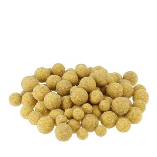 Carpline24 - Maismehlboilies NEUTRAL - 1 kg