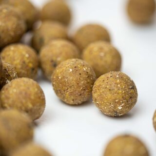 Carpline24 - Futterboilies Kokos - 10 kg 20 mm