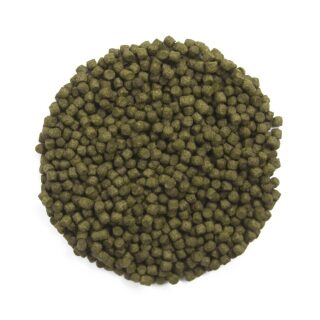 Spirulina 5 kg