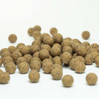 Carpline24 - "Tinuts" Boilie - 1 kg 16 mm