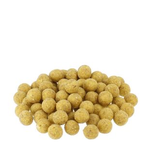 Carpline24 - Maismehlboilies NEUTRAL - 1 kg 20 mm