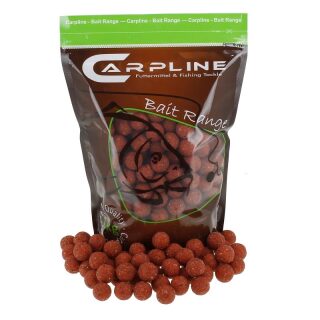 Carpline24 - Erdbeere / Scopex Boilies - 1 kg 20 mm