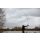 Trakker Propel Rod - 10ft 3lb