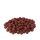 Carpline24 - Robin Red Boilies - 1 kg 16 mm