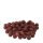 Carpline24 - Robin Red Boilies - 10 kg 20 mm