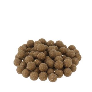 Carpline24 -  Fischmehlboilies NEUTRAL - 5 kg 20 mm